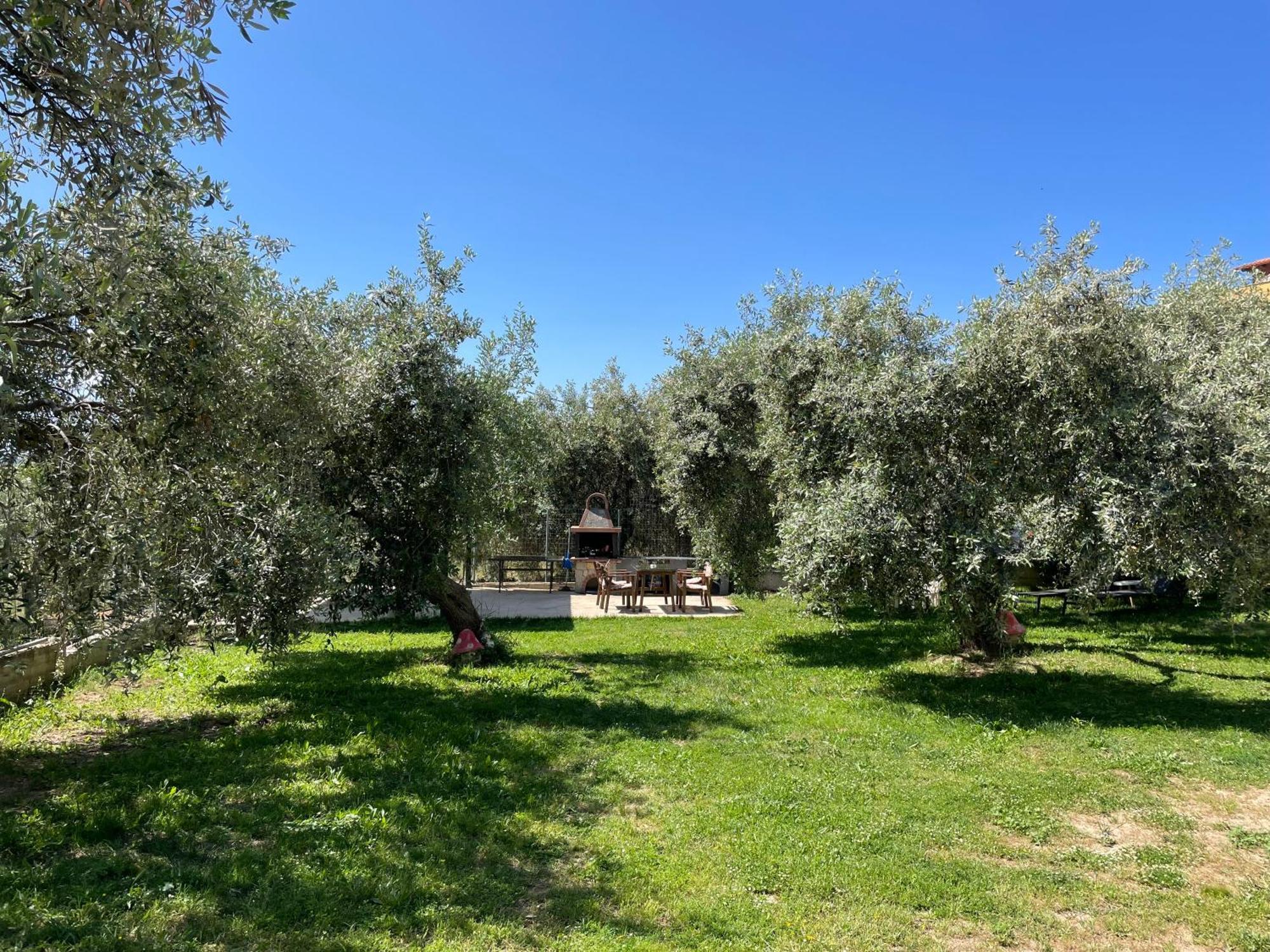 Discovery Villas Limenaria  Buitenkant foto